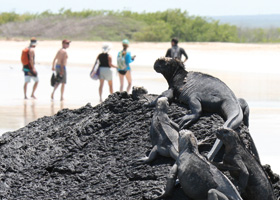 Urlaub ::: Galapagos ::: Reisebüro Blesius in Oppenheim