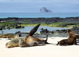 Urlaub ::: Galapagos ::: Reisebüro Blesius in Oppenheim